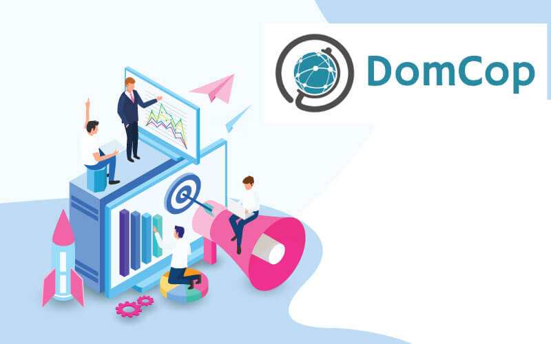 Allowing users to find valuable domains that can be purchased or registerer